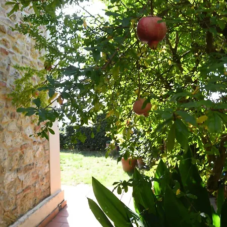Podere Le Monache *